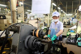 (Ảnh minh họa: Danh Lam/TTXVN)