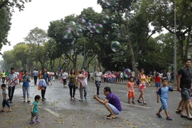 Phố đi bộ Hồ Gươm. (Ảnh: Văn Điệp/TTXVN)