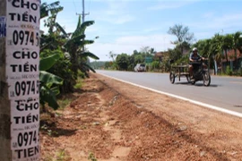 (Ảnh minh họa: Thanh Tân/TTXVN)