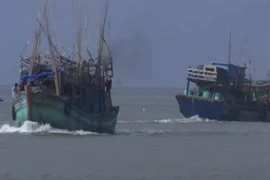 (Ảnh chỉ có tính minh họa: Huỳnh Sử/TTXVN)