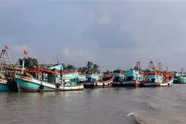 Tàu cá neo đậu tránh trú bão trên sông Cái Bé, xã Bình An, huyện Châu Thành (Kiên Giang). (Ảnh: Lê Huy Hải/TTXVN)