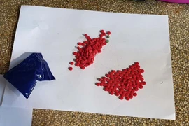 (Ảnh minh họa: Trịnh Duy Hưng/TTXVN)