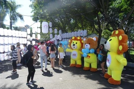 Một góc của Lễ hội. (Ảnh: Gia Thuận/TTXVN)