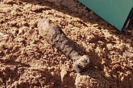 (Ảnh minh họa: TTXVN phát)