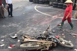 (Ảnh minh họa: Nguyễn Hoàn/TTXVN phát)