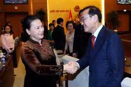 Chủ tịch Quốc hội Nguyễn Thị Kim Ngân với các nghị sỹ Hàn Quốc. (Ảnh: Trọng Đức/TTXVN)