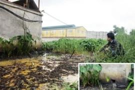 Phóng viên Vietnam+ tại một khu công nghiệp xả thải ở tỉnh Hưng Yên. (Ảnh: Nguyễn Hoài)