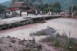 Thiên tai đe dọa nghiêm trọng đến đa dạng sinh học. (Ảnh: Hùng Võ/Vietnam+)