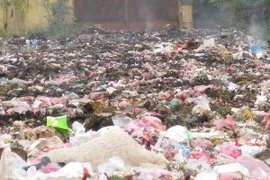 Nhập khẩu phế liệu đang diễn biễn phức tạp. (Ảnh: Hùng Võ/Vietnam+)