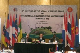 Hội nghị Nhóm công tác ASEAN về các công ước đa phương về môi trường lần thứ 17. (Ảnh: Hùng Võ/Vietnam+)