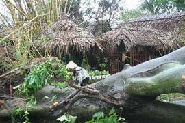 Cơn bão số 11 vừa qua gây nhiều thiệt hại ở tỉnh Quảng Nam. (Ảnh: Nguyễn Văn Sơn/TTXVN)