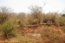 Nhiều diện tích đất nông, lâm trường bị mua bán, chuyển nhượng làm đất kinh doanh, nhà ở trái phép. (Ảnh: Hùng Võ/Vietnam+)