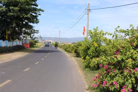Ảnh minh họa. (Ảnh: Phạm Cường/TTXVN)