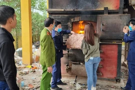 Lực lượng chức năng tiêu hủy toàn bộ số chân gà đông lạnh không rõ nguồn gốc, xuất xứ. (Nguồn: Báo Bắc Giang)