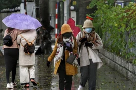 Bắc Bộ và Bắc Trung Bộ trời tiếp tục mưa và rét. (Ảnh: Tuấn Đức/TTXVN)