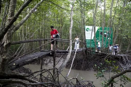 Du khách tham gia tour xuyên rừng Đất Mũi Cà Mau. (Ảnh: Hồng Đạt/TTXVN)