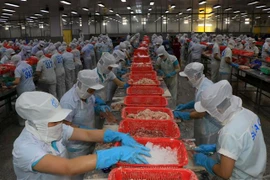 Chế biến cá tra fillet đông lạnh xuất khẩu tại Đồng Tháp. (Ảnh: Nhựt An/TTXVN)