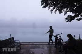 Ảnh minh họa. (Ảnh: Lâm Khánh/TTXVN)