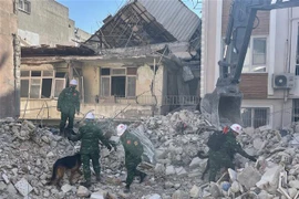 Lực lượng cứu hộ, cứu nạn Quân đội nhân dân Việt Nam sử dụng chó nghiệp vụ tìm kiếm các nạm nhân. (Ảnh: Hải Linh/TTXVN)