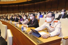 Đoàn đại biểu Quốc hội tỉnh Long An biểu quyết. (Ảnh: Doãn Tấn/TTXVN)