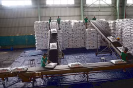 Vận chuyển đạm Phú Mỹ tại kho hàng của PVFCCo tại Cần Thơ. (Ảnh: Huy Hùng/TTXVN)nh họa: Huy Hùng/TTXVN)