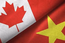 Ảnh minh họa.
