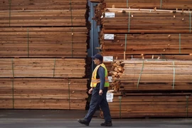 Mỹ tăng thuế nhập khẩu đối với một số loại gỗ xẻ của Canada. (Nguồn: Canadian Press)