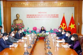 Quang cảnh hội đàm trực tuyến. (Ảnh: Phương Hoa/TTXVN)