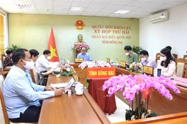 Các đại biểu Quốc hội tỉnh Đồng Nai tham gia phiên thảo luận ở tổ tại điểm cầu tỉnh Đồng Nai đối với từng dự án luật. (Ảnh: Nguyễn Văn Việt/TTXVN)