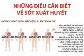  Những thông tin cần biết về bệnh sốt xuất huyết.