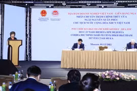 Anh hùng lao động Thái Hương, nhà sáng lập-Chủ tịch Hội đồng Chiến lược của Tập đoàn TH, chia sẻ tại buổi tọa đàm. (Nguồn: Vietnam+)