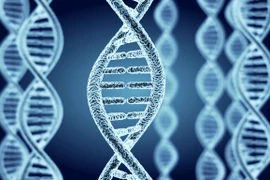 Ảnh minh họa. (Nguồn: China Daily)