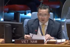Đại sứ Phạm Hải Anh, Phó Trưởng Phái đoàn thường trực Việt Nam tại Liên hợp quốc phát biểu tại phiên họp. (Ảnh: TTXVN)