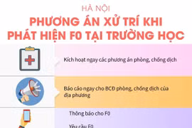 Phương án xử trí khi phát hiện F0 tại trường học.