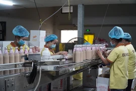 Hoạt động tại một doanh nghiệp ở Bến Tre. (Nguồn: TTXVN)