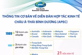 Những điều cần biết về Diễn đàn Hợp tác kinh tế châu Á-Thái Bình Dương.