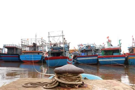 Tàu cá của ngư dân Quảng Trị vào neo đậu tránh trú bão số 8 tại khu neo đậu Nam Cửa Việt ở xã Triệu An, huyện Triệu Phong. (Ảnh: Nguyên Lý/TTXVN)