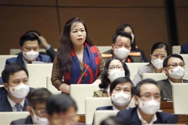 Đại biểu Quốc hội thành phố Hà Nội Vũ Thị Lưu Mai phát biểu. (Ảnh: Doãn Tấn/TTXVN)