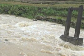 Ảnh minh họa. (Nguồn: TTXVN)