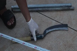 Tang vật vụ án. (Ảnh: TTXVN phát)