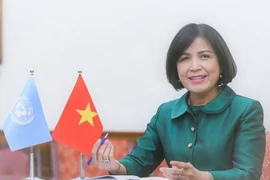 Đại sứ Lê Thị Tuyết Mai, Trưởng Phái đoàn thường trực Việt Nam bên cạnh Liên hợp quốc, Tổ chức Thương mại Thế giới (WTO) và các tổ chức quốc tế khác tại Geneva. (Ảnh: Tố Uyên/TTXVN)