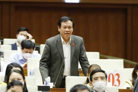 Đại biểu Quốc hội tỉnh Nam Định Vũ Trọng Kim chất vấn. (Ảnh: Phương Hoa/TTXVN)