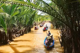Du khách tham quan vườn dừa ở Bến Tre. (Nguồn: Hanoimoi.com.vn)