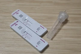 Một bộ kit test nhanh SARS-CoV-2. (Nguồn: Vietnam+)