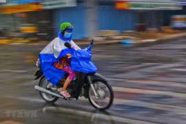Ảnh minh họa. (Nguồn: TTXVN)