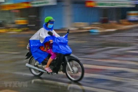 Ảnh minh họa. (Nguồn: TTXVN)