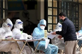 Các tình nguyện viên tổ COVID-19 cộng đồng phường Đa Kao (quận 1) hỗ trợ công tác ghi dữ liệu xét nghiệm COVID-19 tại Trạm y tế phường Đa Kao. (Ảnh: Hồng Giang/TTXVN)