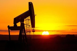 Ảnh minh họa. (Nguồn: AFP)