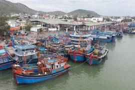 Tàu cá của ngư dân Ninh Thuận và các tỉnh, thành vào neo đậu tại cảng Ninh Chữ (huyện Ninh Hải). (Ảnh: Nguyễn Thành/TTXVN)
