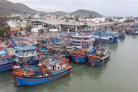 Tàu cá của ngư dân Ninh Thuận và các tỉnh, thành vào neo đậu tại cảng Ninh Chữ (huyện Ninh Hải). (Ảnh: Nguyễn Thành/TTXVN)